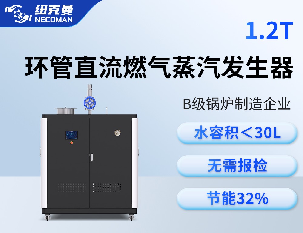 1.2噸 燃?xì)馊加驼羝l(fā)生器